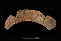 藏品(連杯形器)的圖片